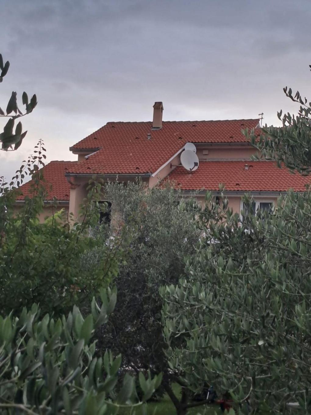 Apartments Mig - With Beautiful Garden Supetarska Draga Bagian luar foto